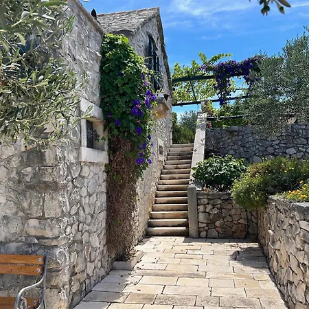 Amazing In With House Sea View